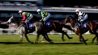 Ayr hosts Saturday's Scottish Grand National, Scotland's most valuable jumps race